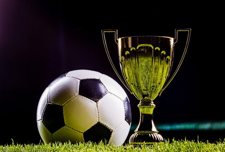 他能够快速 他能够快速