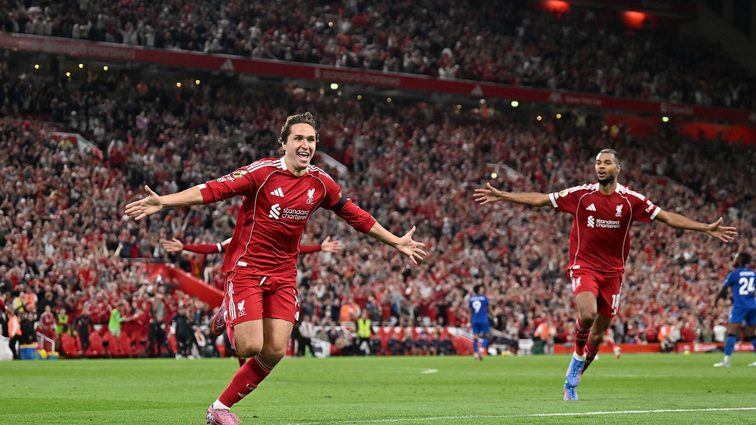 蛙泳阶段发 蛙泳阶段发