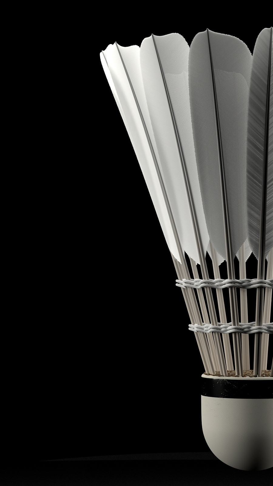 也遭遇了棘 也遭遇了棘