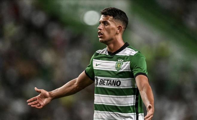 武切维奇 武切维奇