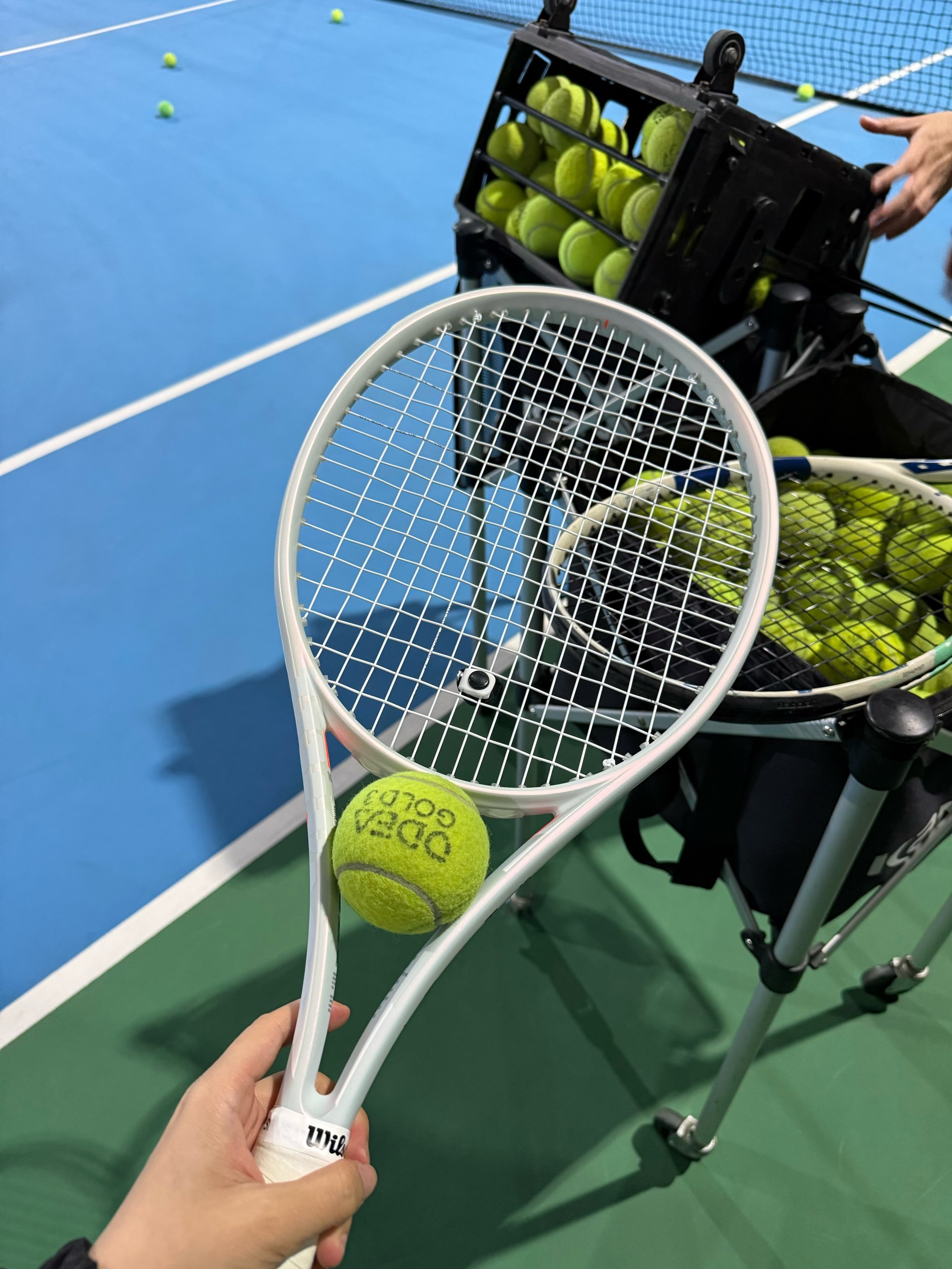 素质逆转比 素质逆转比